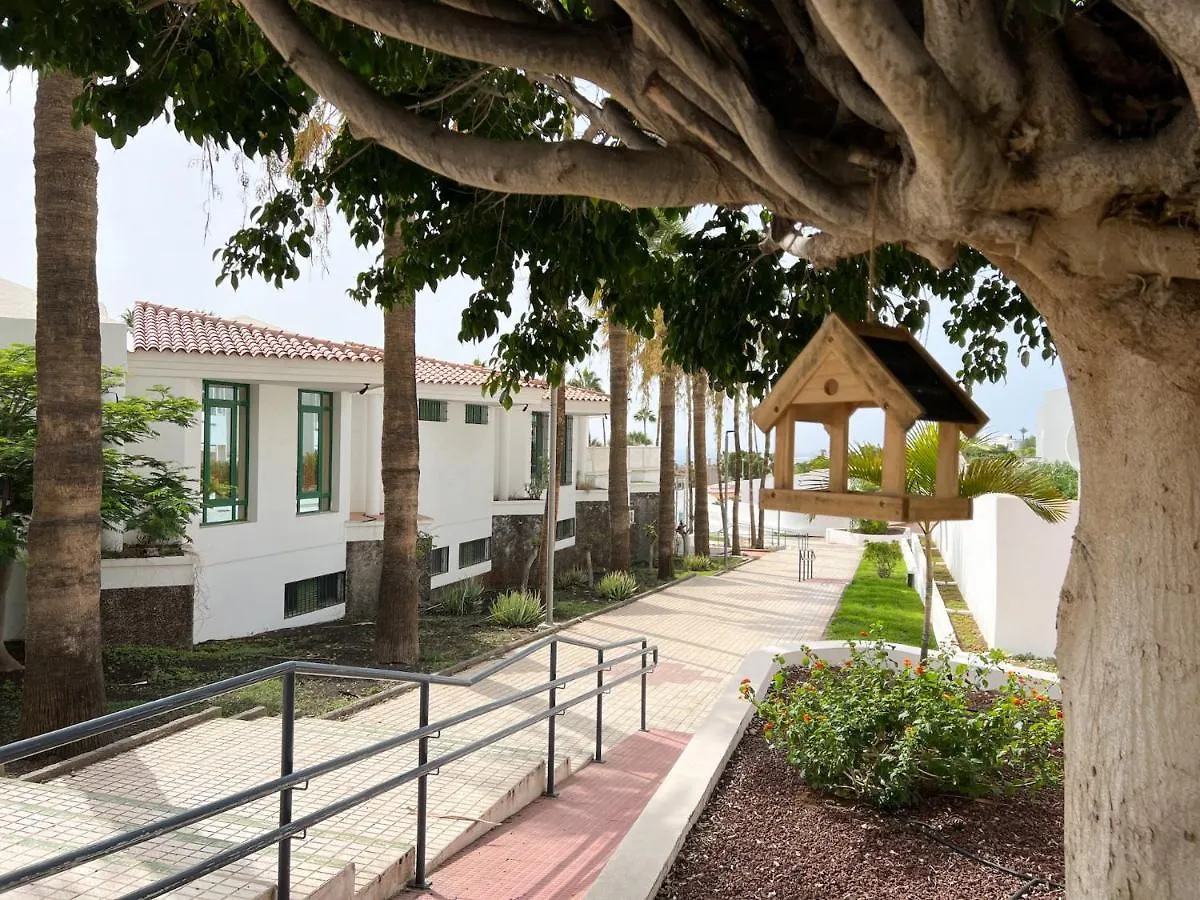 Island Village 阿德耶